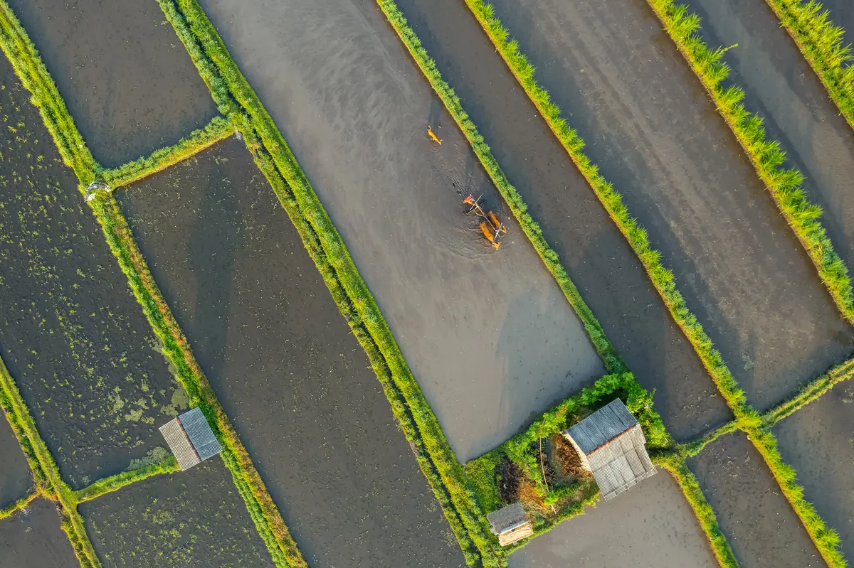 Peran Citra Satelit dalam Tanggap Darurat Bencana